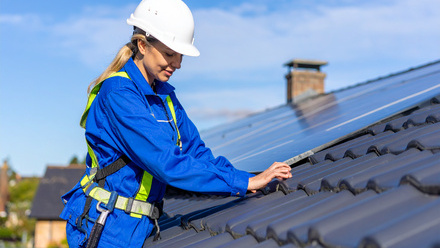 Firefly_UK Roof Inspector 963251.jpg